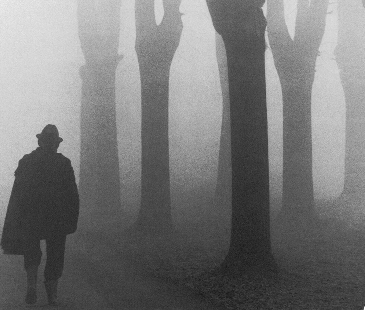 Selezione Pregiata del Pavese