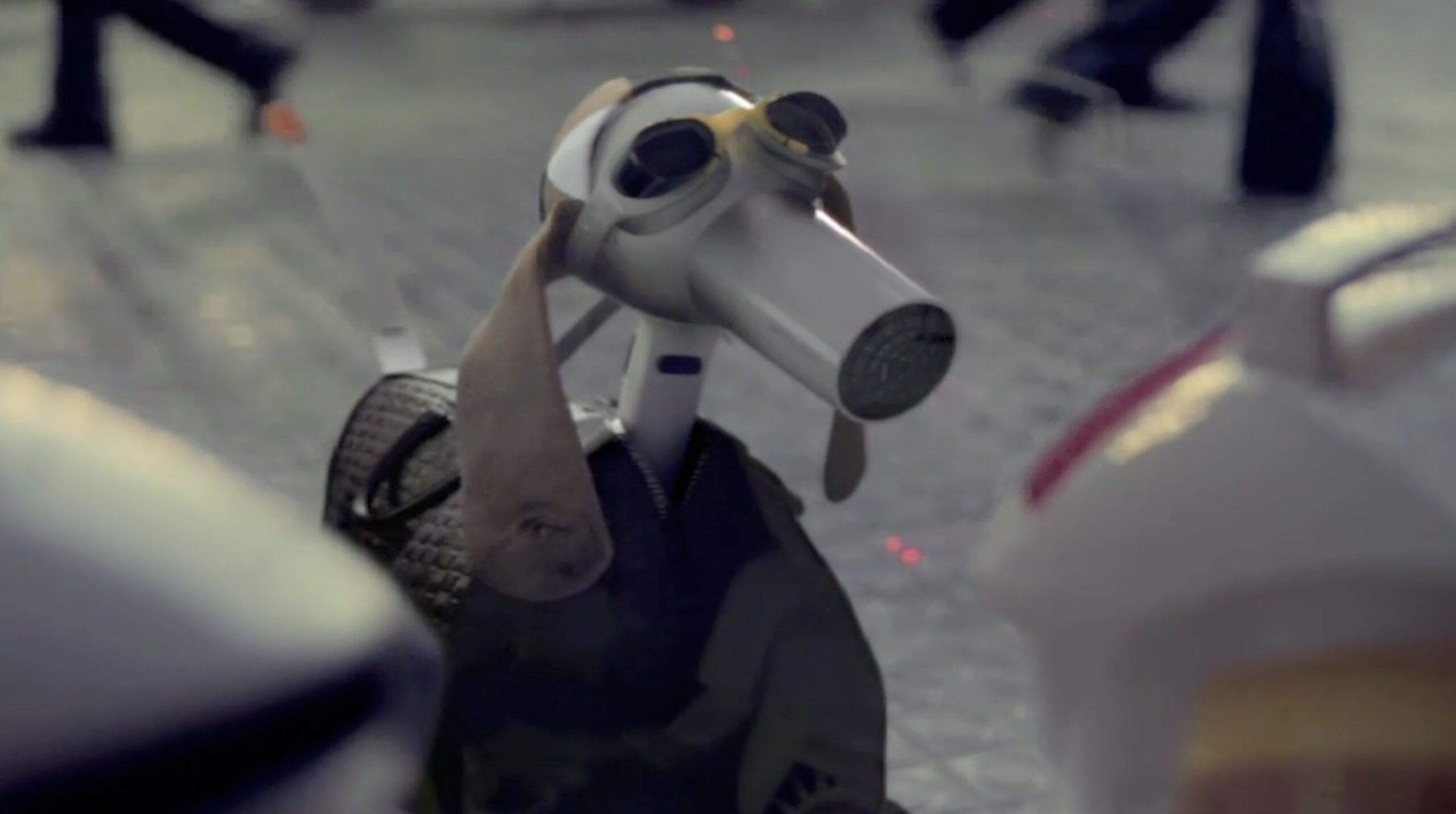 Dog